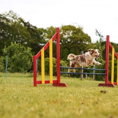 Prázdninový dům Hof Koehne - Forsthaus 2er Schmallenberg