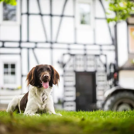 Hof Koehne - Forsthaus 2er Prázdninový dům *