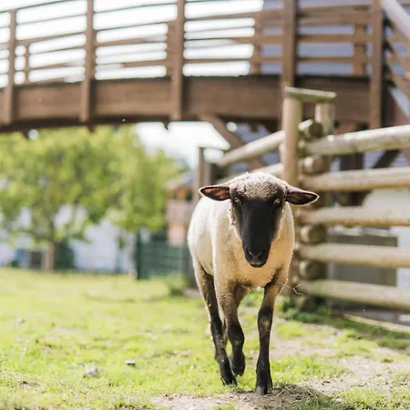 Hof Koehne - Forsthaus 2er Schmallenberg