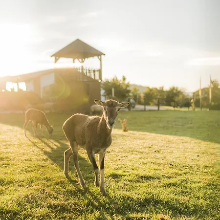 Hof Koehne - Forsthaus 2er *