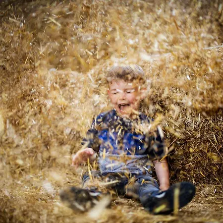 Hof Koehne - Forsthaus 2er Prázdninový dům Schmallenberg