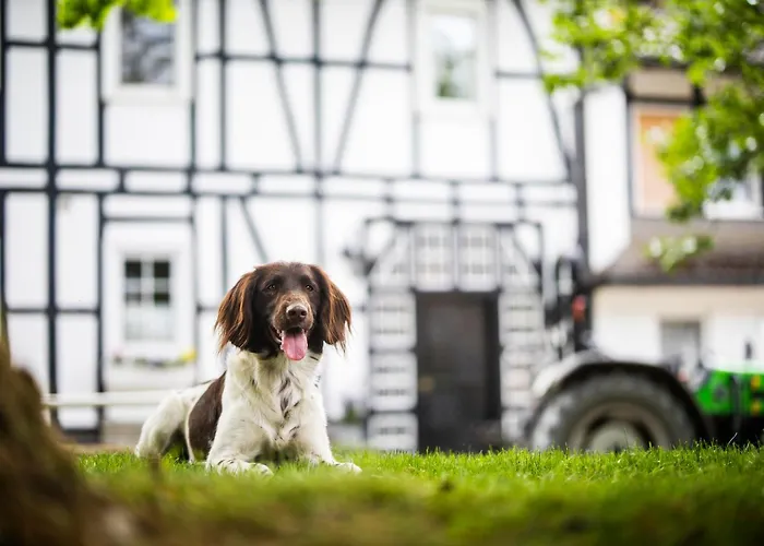 Hof Koehne - Forsthaus 2er Сasa de vacaciones *