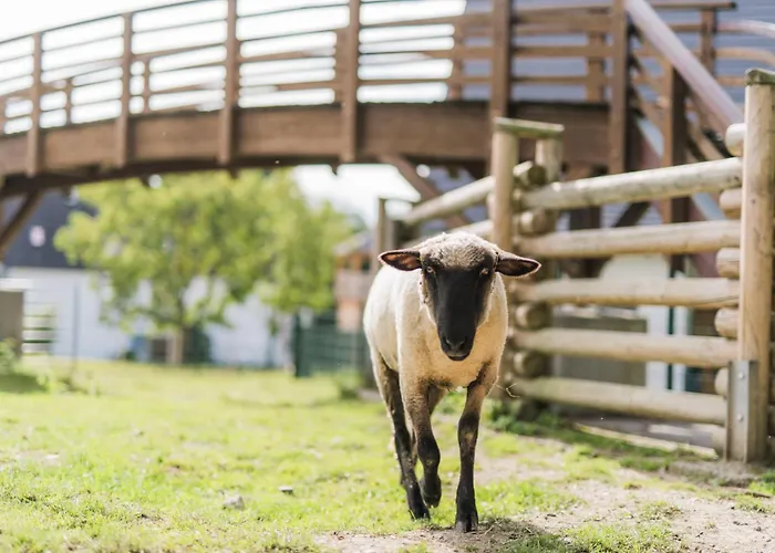 Hof Koehne - Forsthaus 2er Schmallenberg