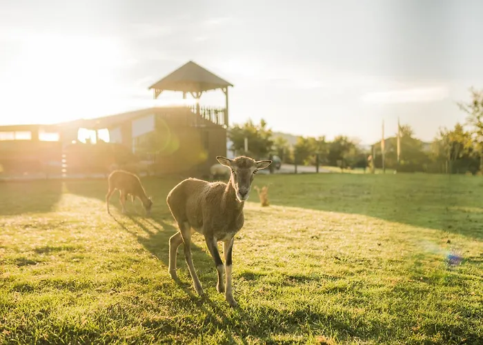 Hof Koehne - Forsthaus 2er *